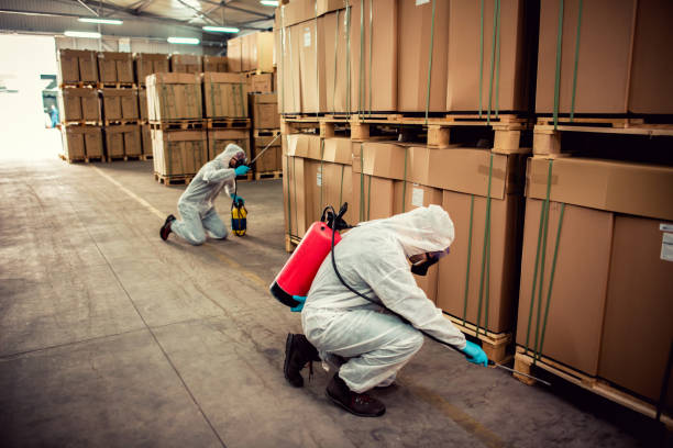 Best Residential Pest Control  in Rushville, NE