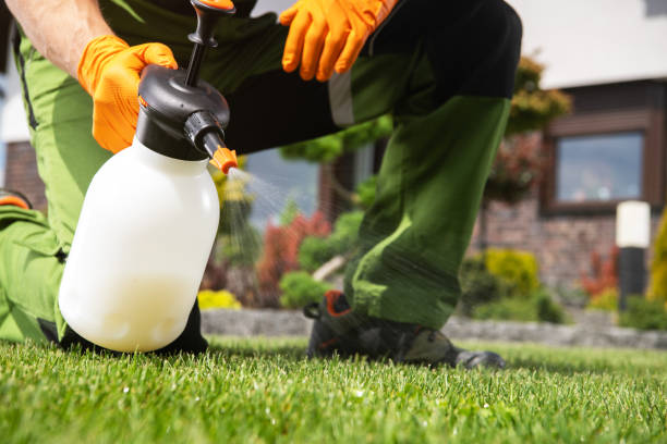 Best Flea Control Services  in Rushville, NE