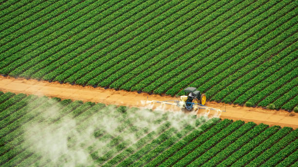 Best Best Pest Control Companies  in Rushville, NE