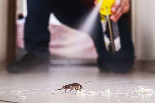 Wildlife Control Services in Rushville, NE