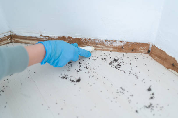 Best Emergency Pest Control  in Rushville, NE